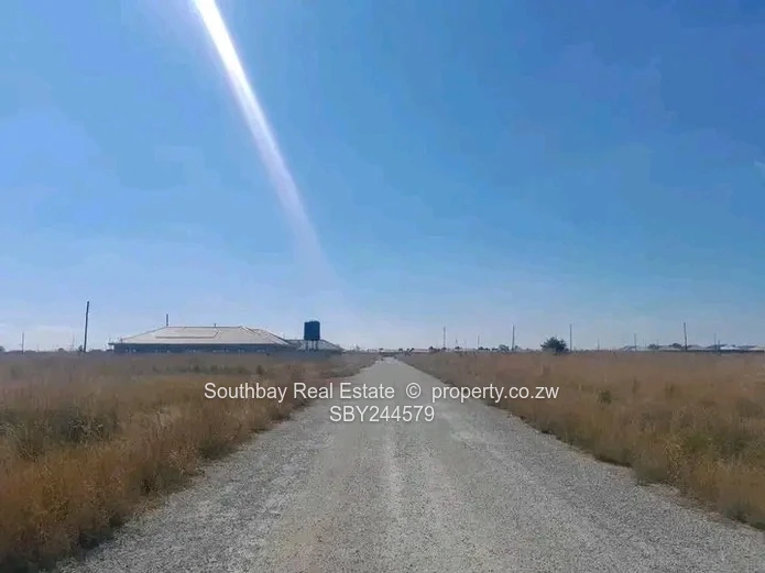 Investment Opportunity