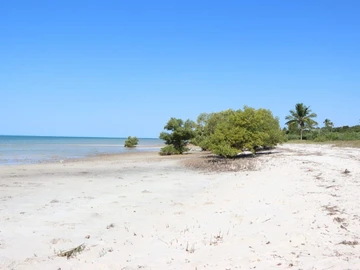 Commercial & Industrial Land