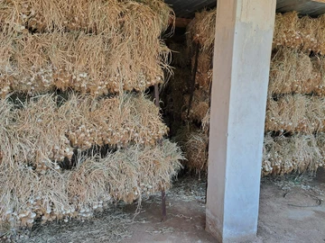 Farm & Agricultural Land