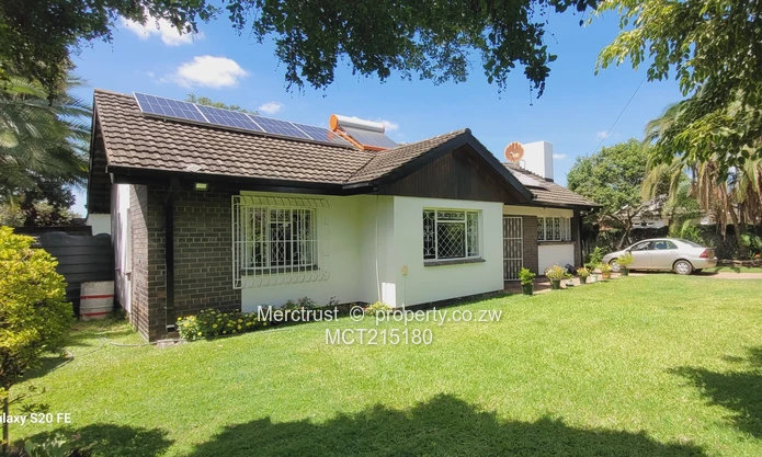 Absolutely immaculate! (Sole Mandate)