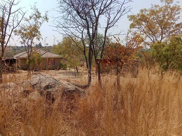 Stands & Residential Land