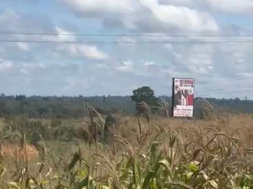 Commercial & Industrial Land