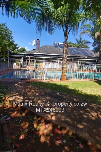 Family Home for Sale in Alexandra Park