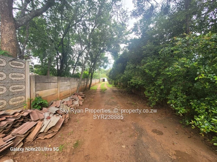 BORROWDALE  - SAM LEVY for sale 