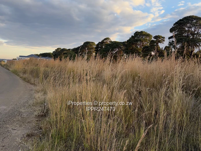 Prime 2000 sqm Vacant Stand for Sale in Pomona City – Perfect Location Next to Fairway!