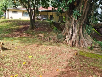Penhalonga Managers Hill