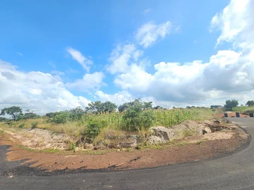 Stands & Residential Land