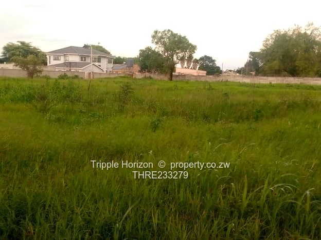 Goodhope Stand For Sale