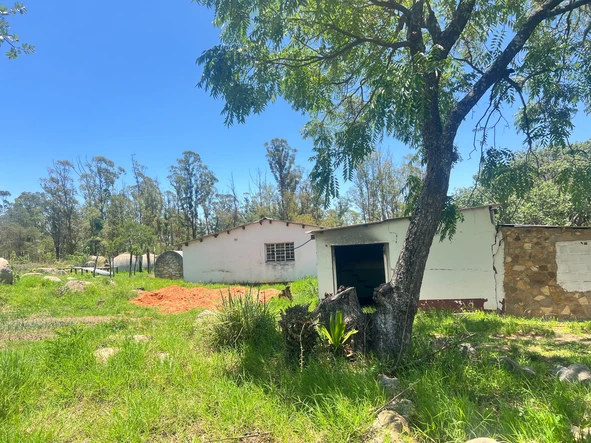 Farm & Agricultural Land