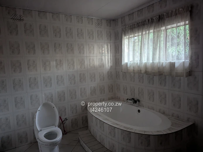 Malborough 3 bedroom house to rent 