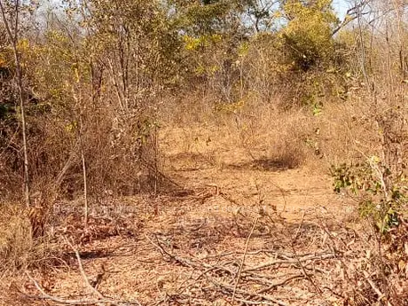 Chegutu Plots