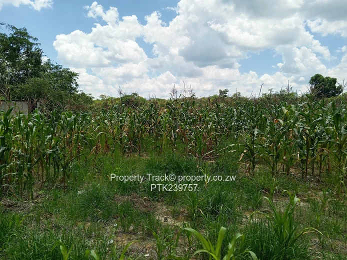 Agro-residential plots!