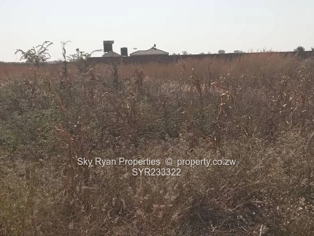 Pomona Stand For Sale