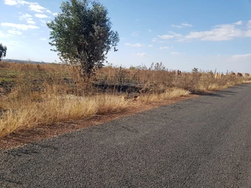 Stands & Residential Land