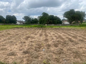 Stands & Residential Land