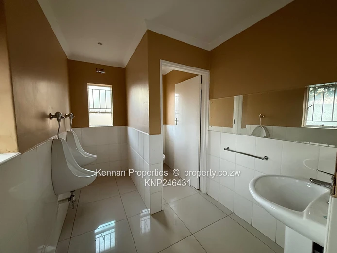 Spacious House in the Heart of New Alexandra Park