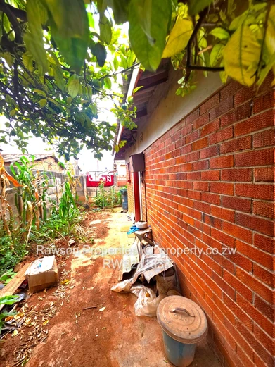 Investment Opportunity 