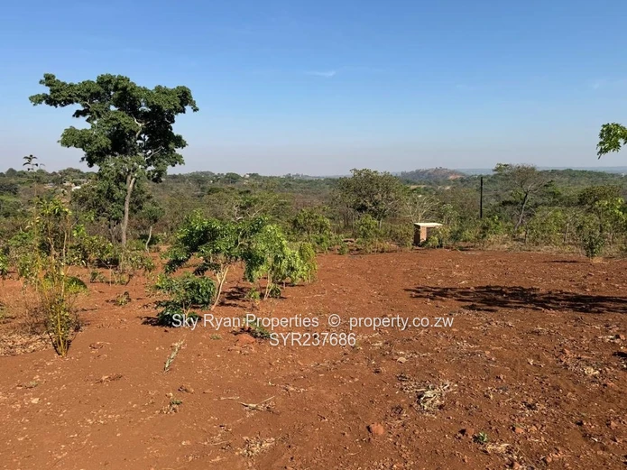 Shawasha Hills Estate Stands For Sale