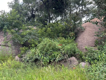 Commercial & Industrial Land