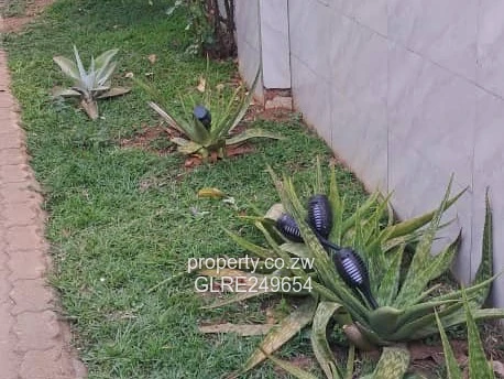 Spacious 5-Bed Home with Borehole in Bloomingdale, Harare West