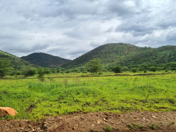 500sqm stands along the main road for 12k with terms.promotional price