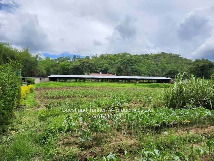 QUICK SALE! Umwinsdale Property for Sale – Prime Location, Exceptional Potential with Deeds