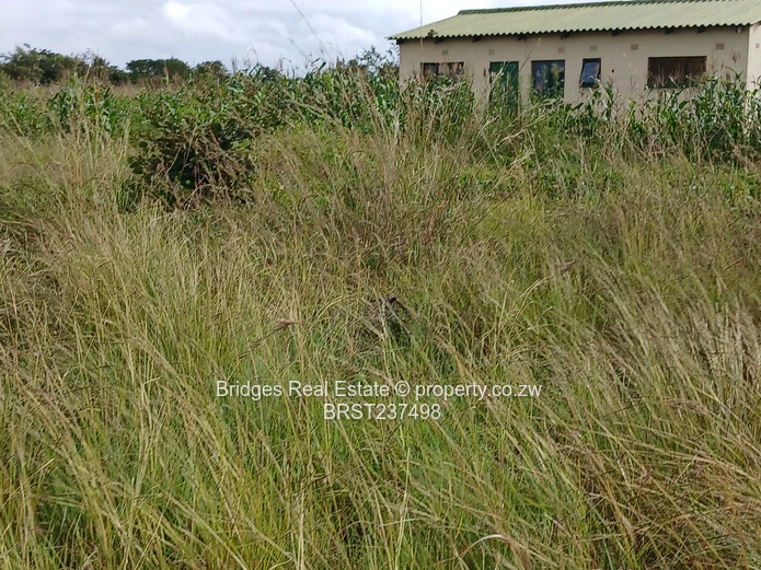 Fast establishing suburb in Gweru North! (Sole Mandate)