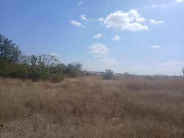 Commercial & Industrial Land
