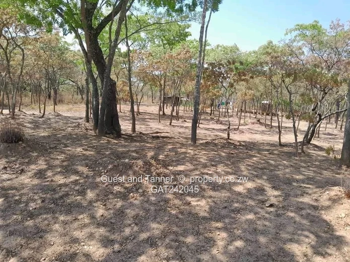 3 Prime Low-density Stands in Marondera’s Sought-after Rotsvlei Area