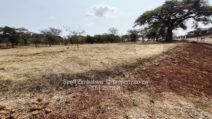 Borrowdale North 2,894 sqm residential vacant stand forsale  (Sole Mandate)