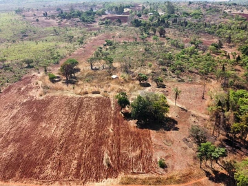 Farm & Agricultural Land