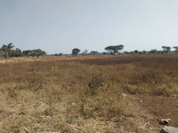 Farm & Agricultural Land