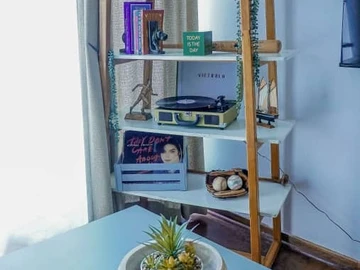 Flat & Apartment