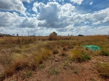 Stands & Residential Land