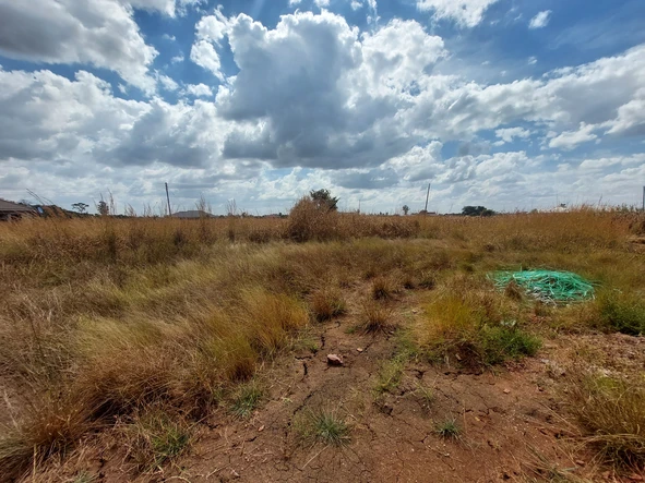 Stands & Residential Land