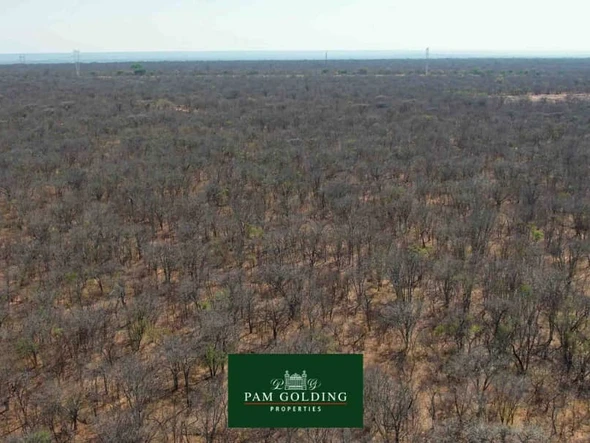 Farm & Agricultural Land