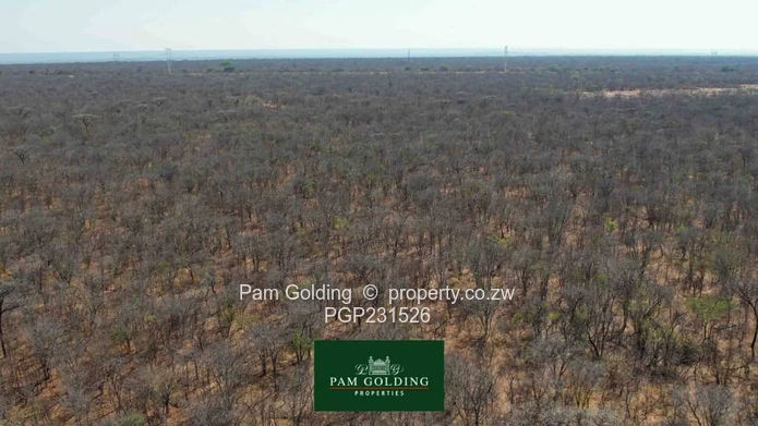 377- Hectares Prime Agricultural Land in Nyamandlovu  (Sole Mandate)
