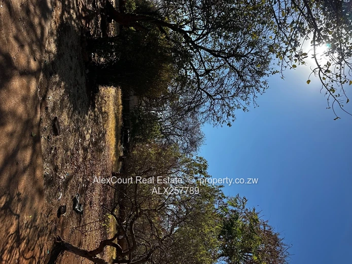 Land Available In Eastlea Ideal For Redevelopment