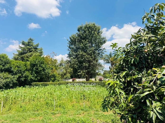 2000 m² Emerald Hill Stand — Secure, Treed & Subdividable