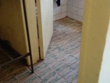 Flat & Apartment