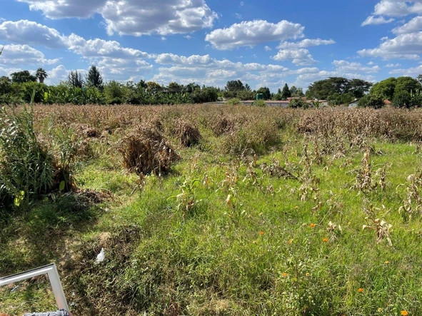 Stands & Residential Land