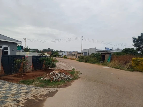 Stands & Residential Land