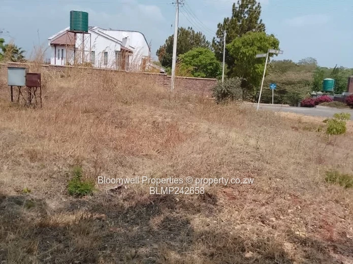 Huge Potential Endless Possibilities