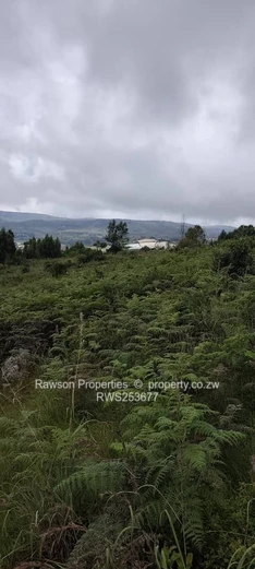 Nyanga plot for sale (Sole Mandate)
