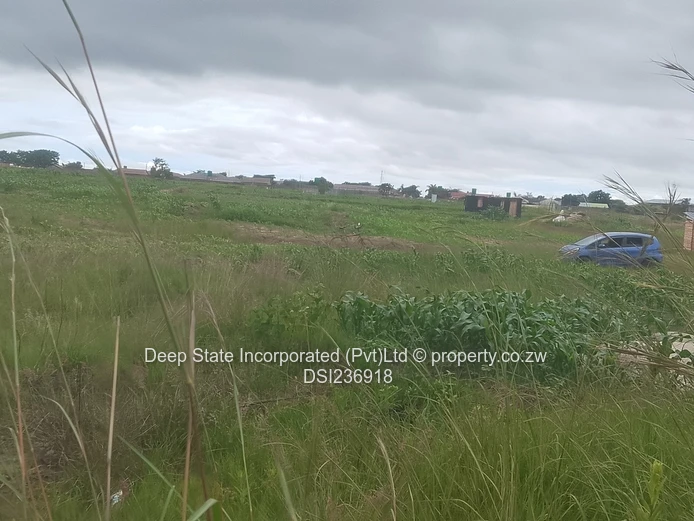 Zimre Park house for sale 