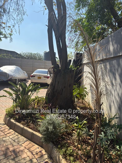 Spacious 5-Bed Townhouse Complex in Highlands - Borehole