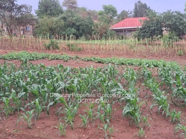 Prime 1011 m² Residential Stand for Sale in Tynwald South