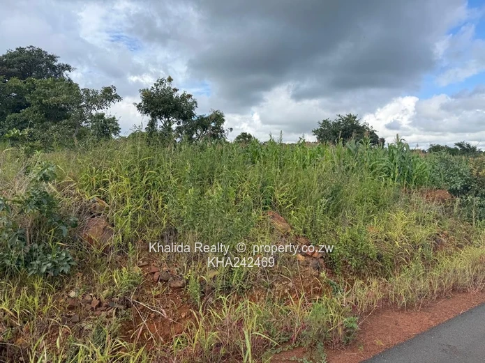 Pomona buckland terrace stand for sale