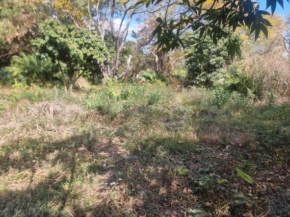 Commercial & Industrial Land