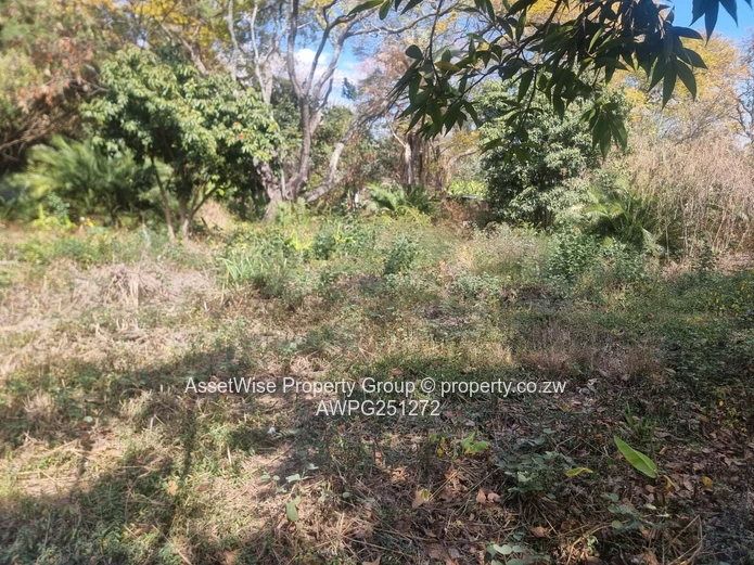 2100m² Tree-lined Commercial Plot in Avondale — Services